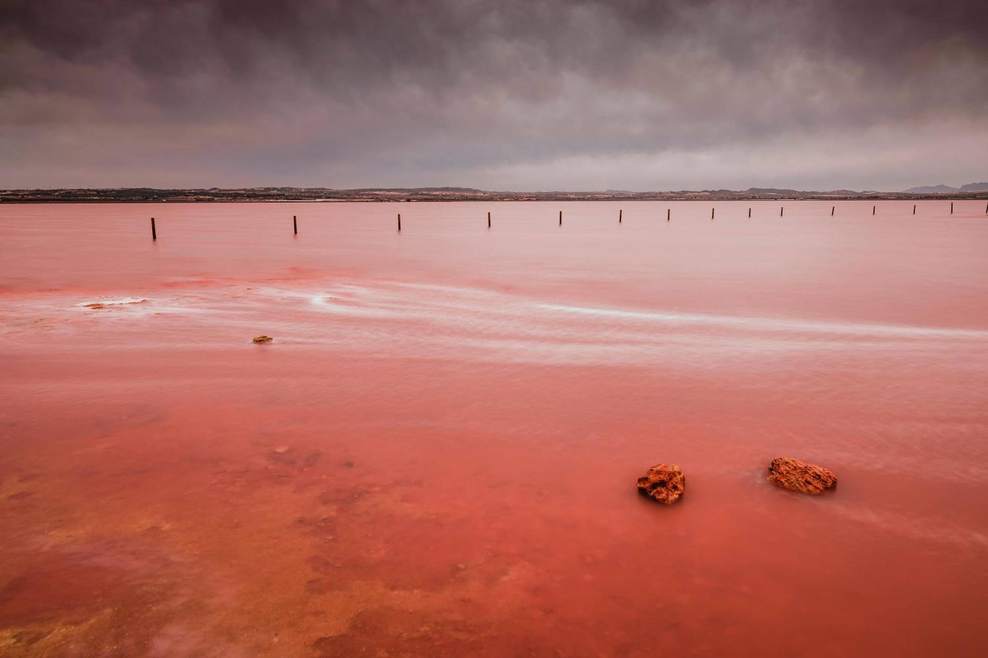 Mar Azul Torrevieja Leilighet Eksteriør bilde